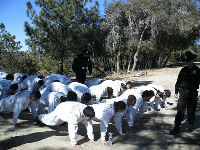 people doing pushups